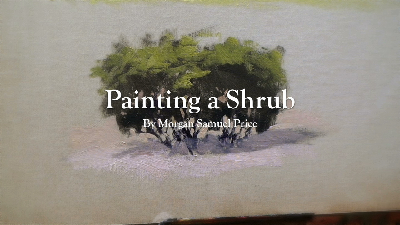 Painting Shrub